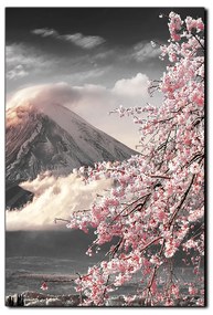 Obraz na plátne - Hora Fuji a čerešňové kvety na jar - obdĺžnik 7266QA (120x80 cm)