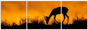 Obraz na plátne - Antilopa skákavá silueta - panoráma 5913C (90x30 cm)