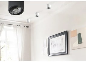 Azzardo AZ1356 - Stropné svietidlo ALIX 1xG53/50W/230V/12V