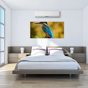 Obraz - farebný vták