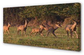Obraz na plátne Deer Golf svitania 140x70 cm