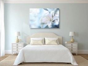 Obraz biely kvet ľalie na abstraktnom pozadí Varianta: 120x80