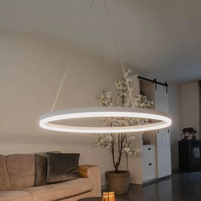 Dizajnové závesné svietidlo biele 80 cm vrátane LED 3-stupňové stmievateľné - Anello
