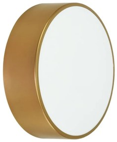 TEMAR Prisadené nástenné / stropné osvetlenie CLEO, 1xE27, 60W, 20cm, okrúhle, zlaté
