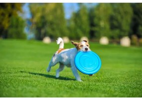 Lietajúci disk FRISBEE PITCHDOG pre psa, oranžový