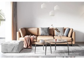 Závesné svietidlo Riffle Spider, 3x biele sklenené tienidlo, w