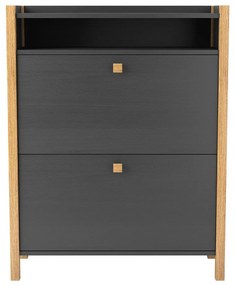 Tmavosivá skrinka na topánky s 2 zásuvkami Woodman Bode