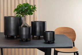 Dekoratívny umelý ženšenový fikus v kvetináči - 25*13*37 cm