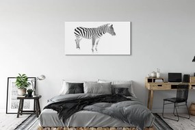Obraz na akrylátovom skle Maľované zebra 125x50 cm