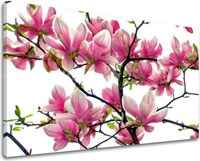 Obraz na stenu KVETY XOBKV132E11 - 20x30 cm