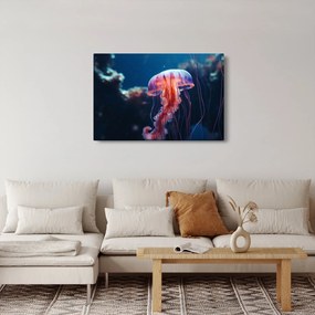 Obraz - Medúzka (90x60 cm)