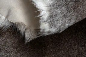 Koberec RENIFER POK014 hnedý / sivý