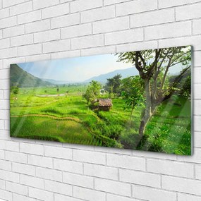 Obraz na akrylátovom skle Lúka príroda 125x50 cm
