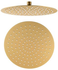 Hlavová sprcha z nehrdzavejúcej ocele v zlatej farbe ø 30 cm Slim – Sapho