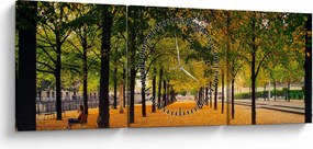 Obraz aleje jesenných stromov (s hodinami) (90x30 cm)