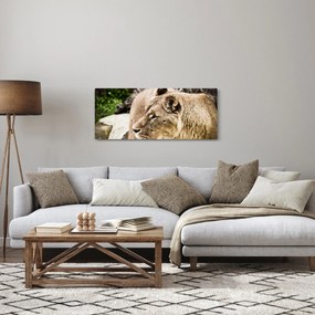 Obraz levice (120x50 cm)