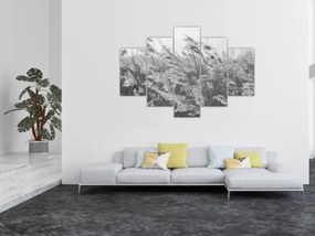 Obraz - Tráva vo vetre (150x105 cm)