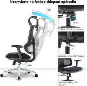 Kancelárska ergonomická stolička Neoseat ALINE — čierna, nosnosť 150 kg