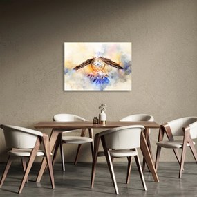 Sklenený obraz - Lapač snov s pierkami (70x50 cm)