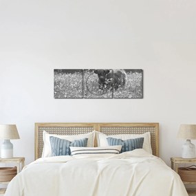 Obraz - Škótska krava 5, čiernobiela (s hodinami) (90x30 cm)