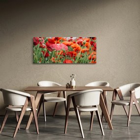 Obraz z poľa vlčích makov (120x50 cm)