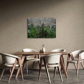 Obraz - Betónový múr s rastlinami (70x50 cm)
