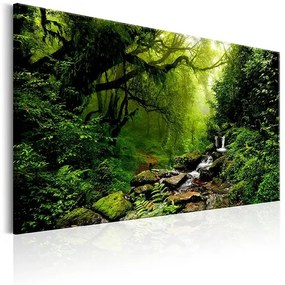 Obraz - Waterfall in the Forest Veľkosť: 120x80, Verzia: Na talianskom plátne