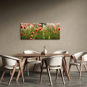 Obraz vlčích makov (120x50 cm)