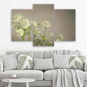 Gario Obraz na plátne Poľné kvety - 3 dielny Rozmery: 60 x 40 cm