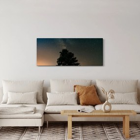 Obraz nočnej oblohy so stromami (120x50 cm)