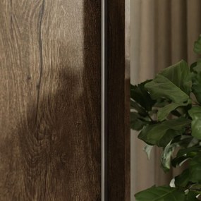 ŠATNÍKOVÁ SKRIŇA S POSUVNÝMI DVERAMI NINA JASEŇ TMAVÝ + ZRKADLO 250 cm