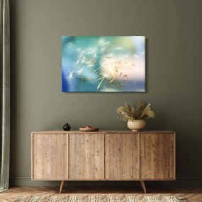 Obraz - šťastia (90x60 cm)
