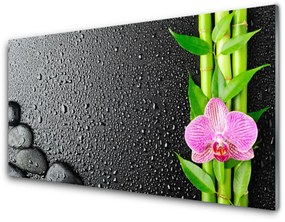 Obraz plexi Bambus stonka kvet rastlina 140x70 cm