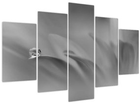 Obraz - Kvapka na kvete, čiernobiela (150x105 cm)