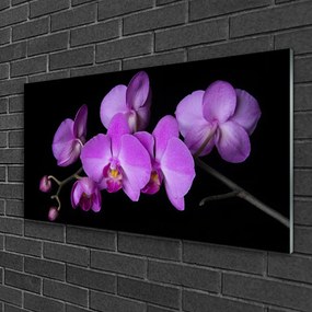 Skleneny obraz Vstavač orchidea kvety 100x50 cm