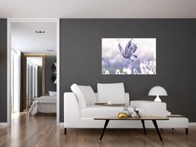 Obraz - Motýľ a levanduľa (90x60 cm)