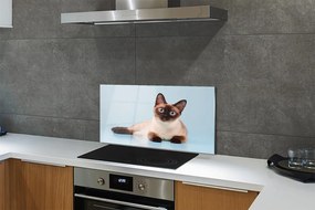 Nástenný panel  ležiace mačka 120x60 cm