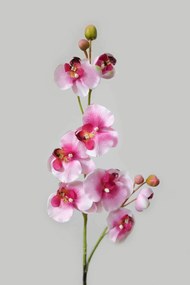 Bieloružová umelá orchidea 80cm