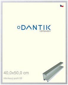 DANTIK rám na obraz 40x50 | ALU Stříbrná matná (Sklo Čiré)