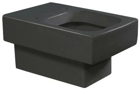Duravit Vero - Závesné WC 370x545 mm, čierna 2217090864