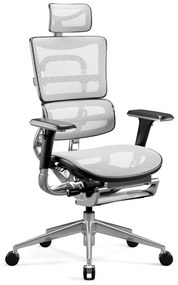 Ergonomické kreslo Diablo V-Master, čierno-biele