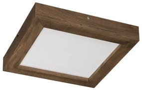 Brilagi-LED Stmievateľné svietidlo WOODY FRAME LED/24W/230V dub 30x30 cm IP44 + DO