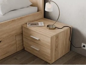 Nočný stolík s 2 zásuvkami Iwetta, dub sonoma%