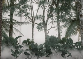 Sklenený obraz - Jungle v rannej hmle (70x50 cm)