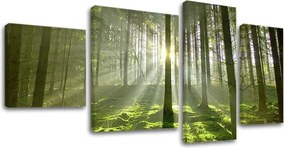 Obraz na stenu STROMY