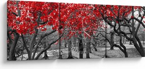 Obraz - Červené stromy, Central Park, New York (s hodinami) (90x30 cm)