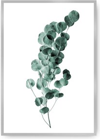 Plagát Eucalyptus Emerald Green