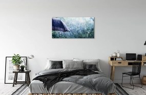 Obraz canvas Umbrella dažďovej kvapky 125x50 cm