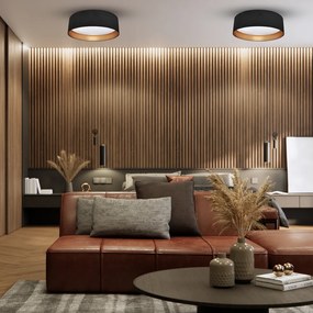 Stropné LED svietidlo Rondo, 1x LED 18w, 4000k, b/g