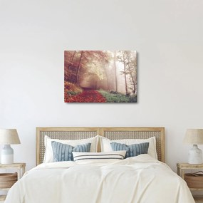 Obraz - Jesenná prechádzka lesom (70x50 cm)